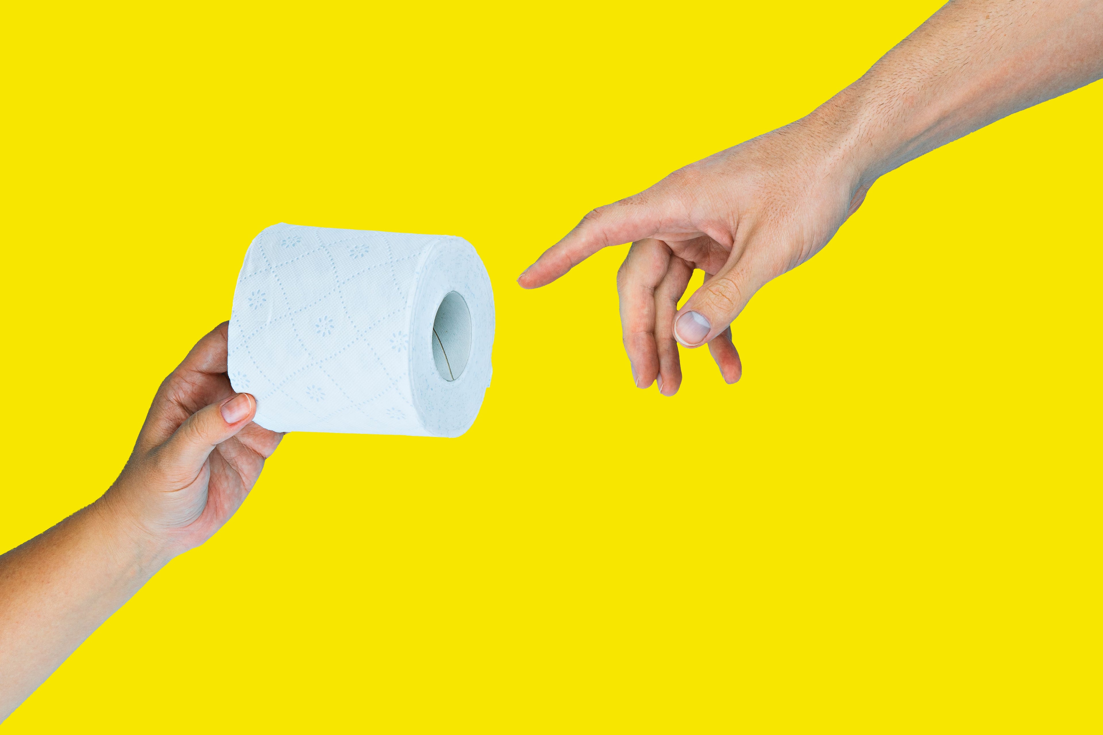 papel higiénico húmedo the wipes