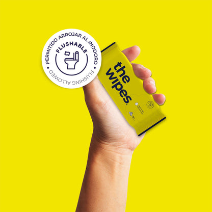 packs — the wipes® pocket