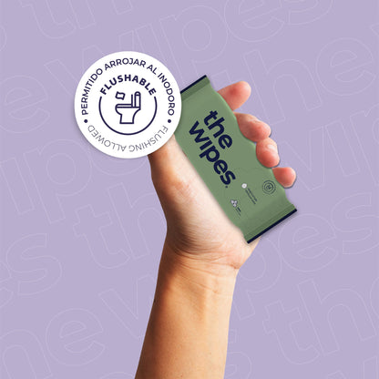 packs — the wipes® pocket